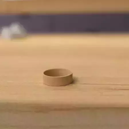wooden ring 3D model
