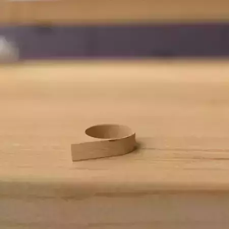 wooden ring 3D model