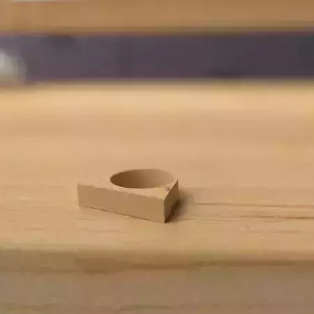 wooden ring 3D model