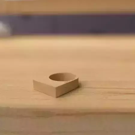 wooden ring 3D model