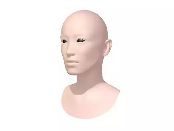 Human head blank 3D model