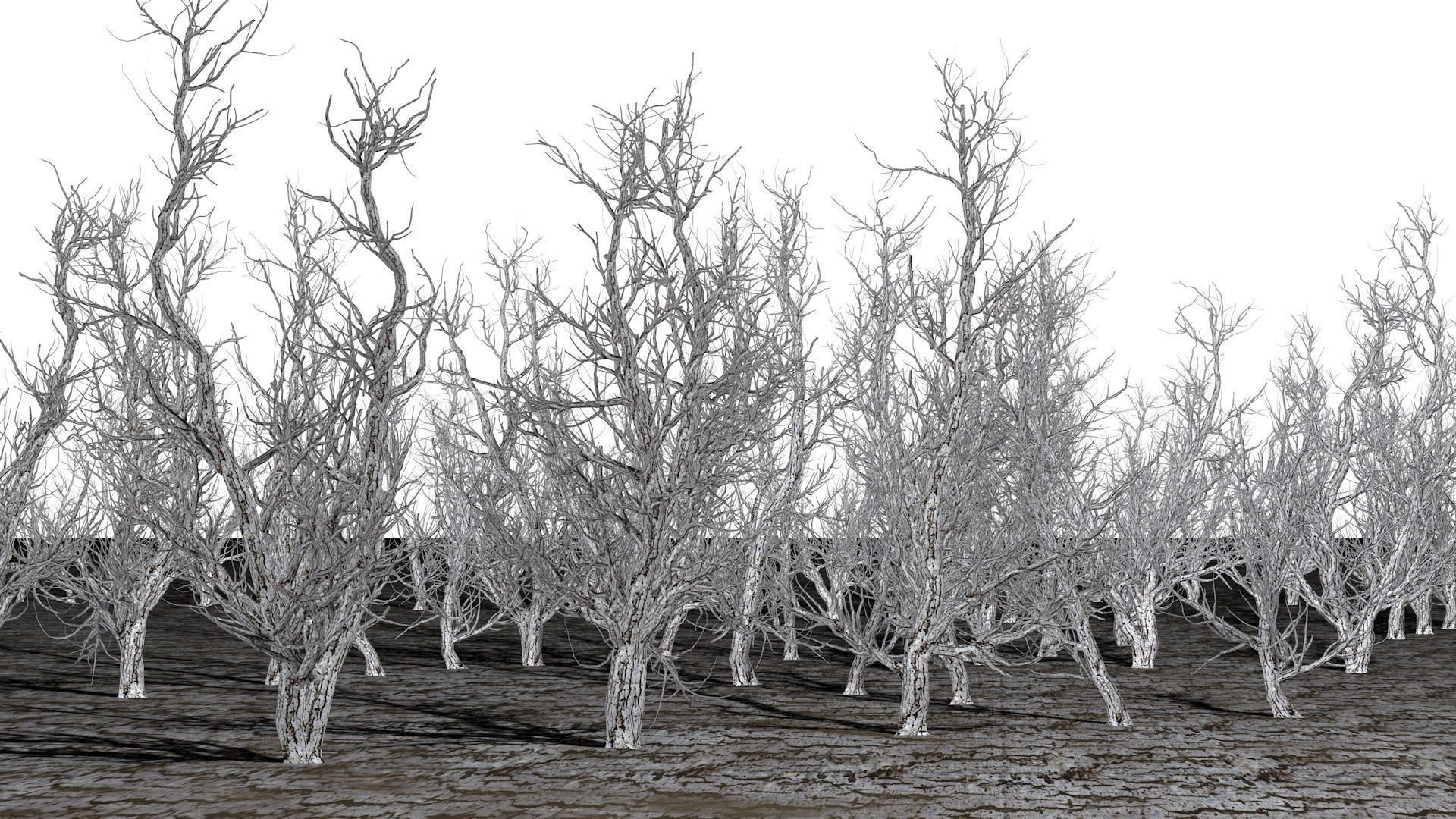 Root 5 trees low-poly R2 Low-poly 3D model_5