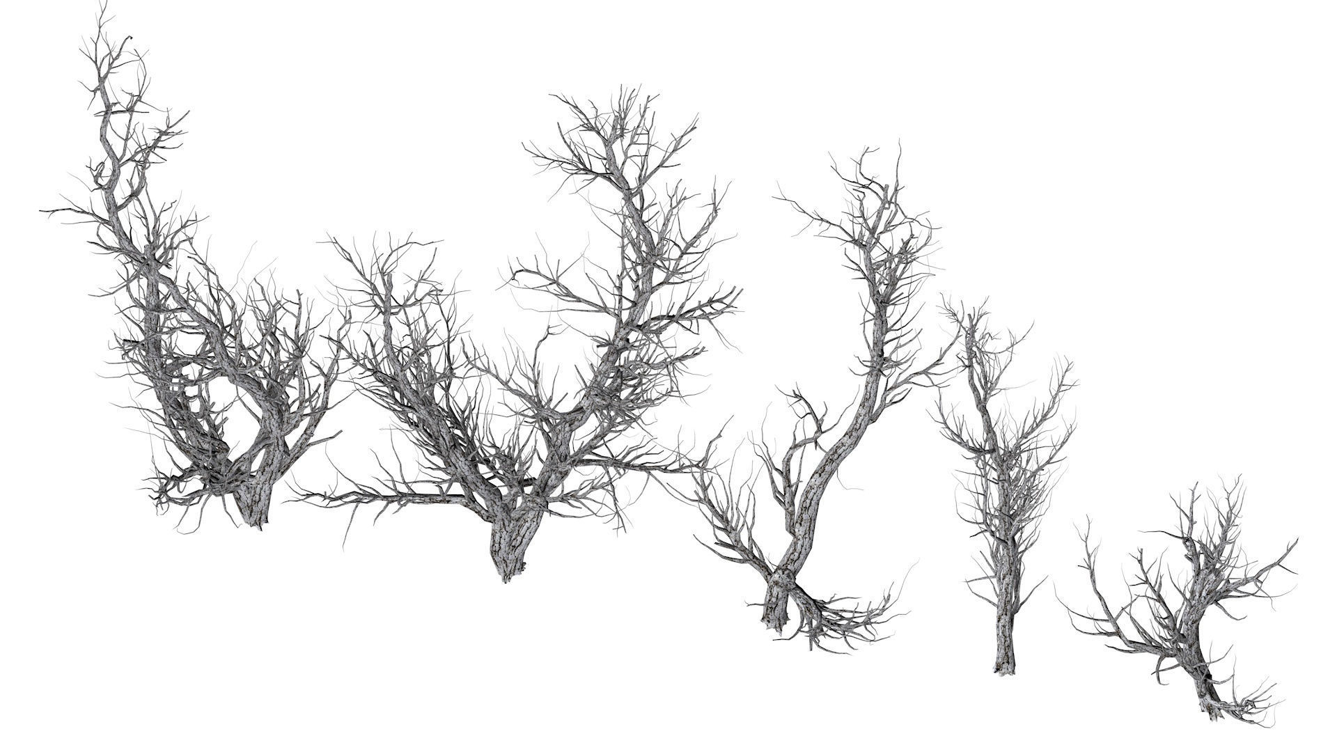 Root 5 trees low-poly R2 Low-poly 3D model_4