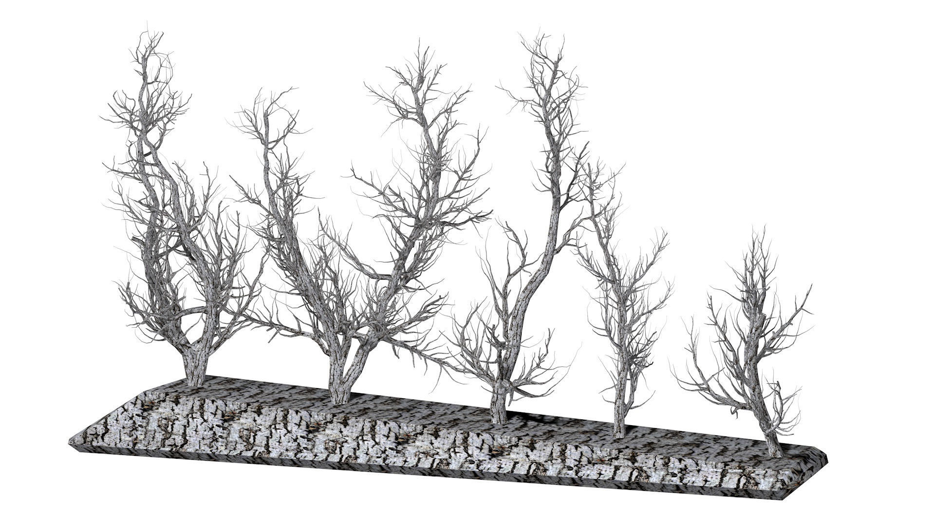 Root 5 trees low-poly R2 Low-poly 3D model_1