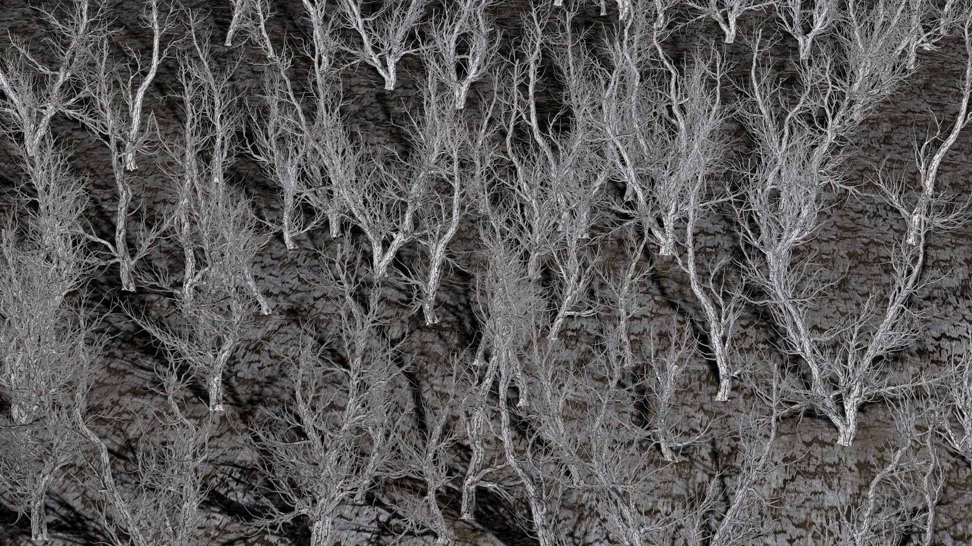 Root 5 trees low-poly R2 Low-poly 3D model_6