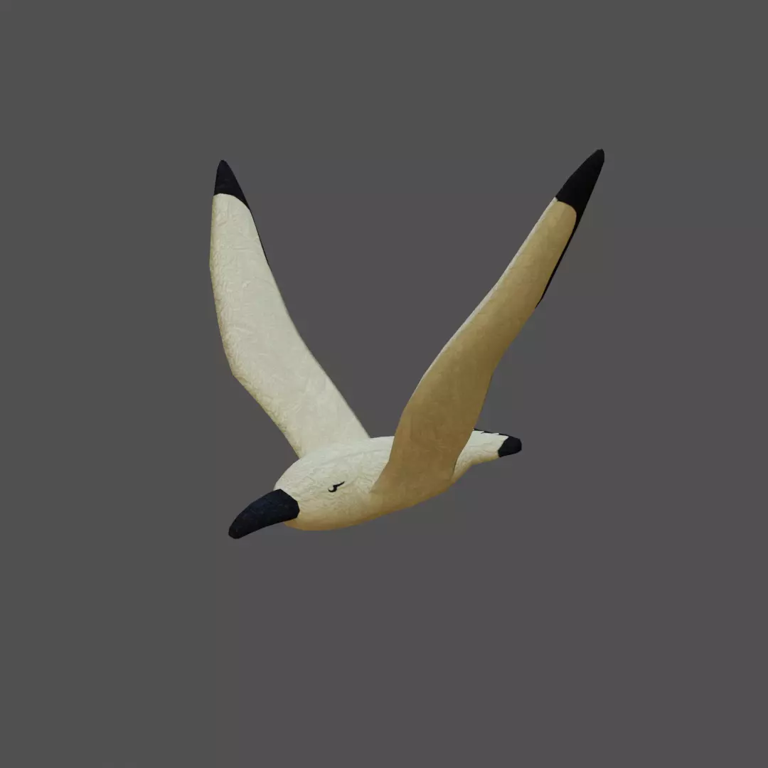 Seagul lowpoly animated 3D model