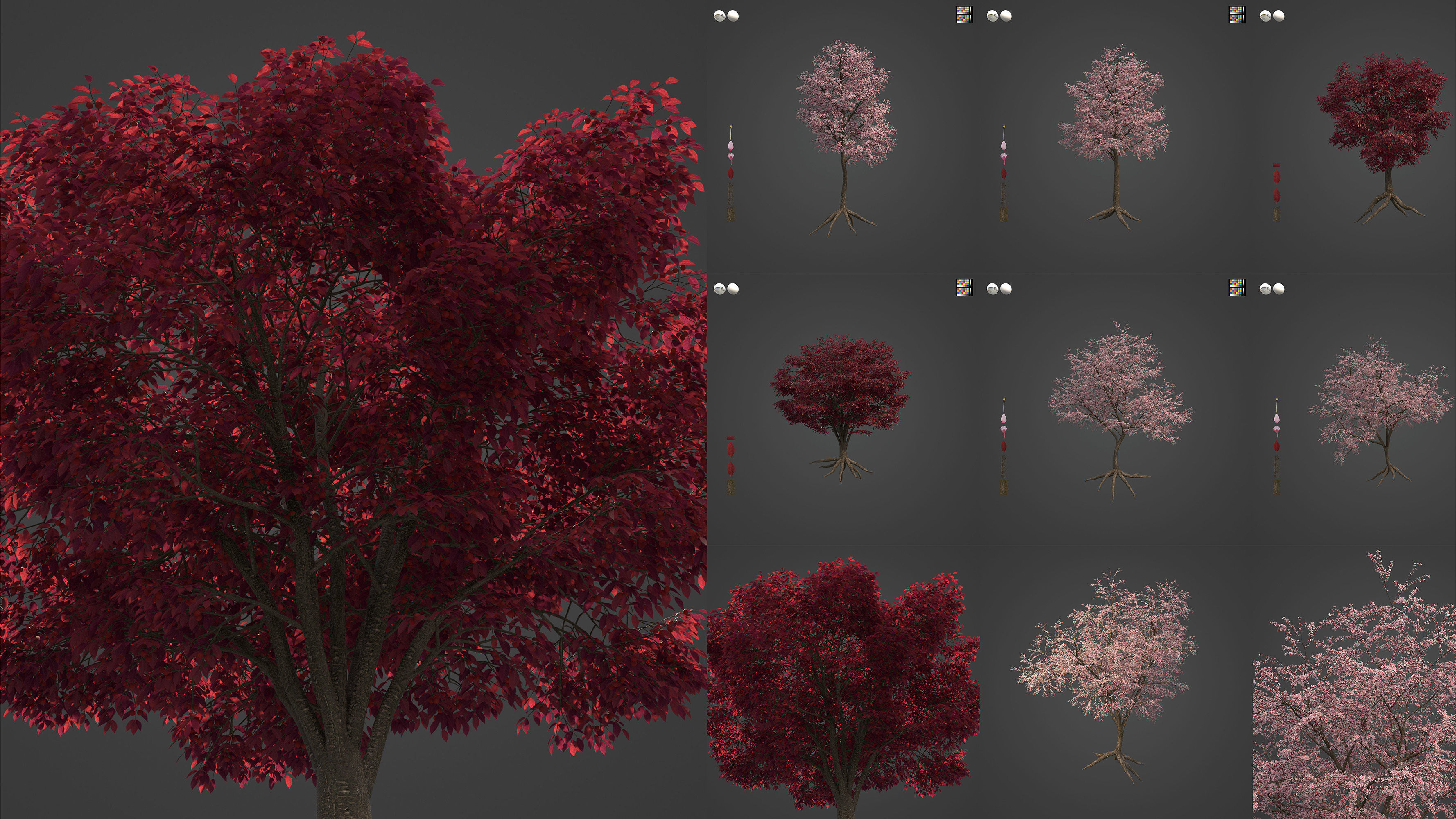 Xfrog World 3D Model Collection_6