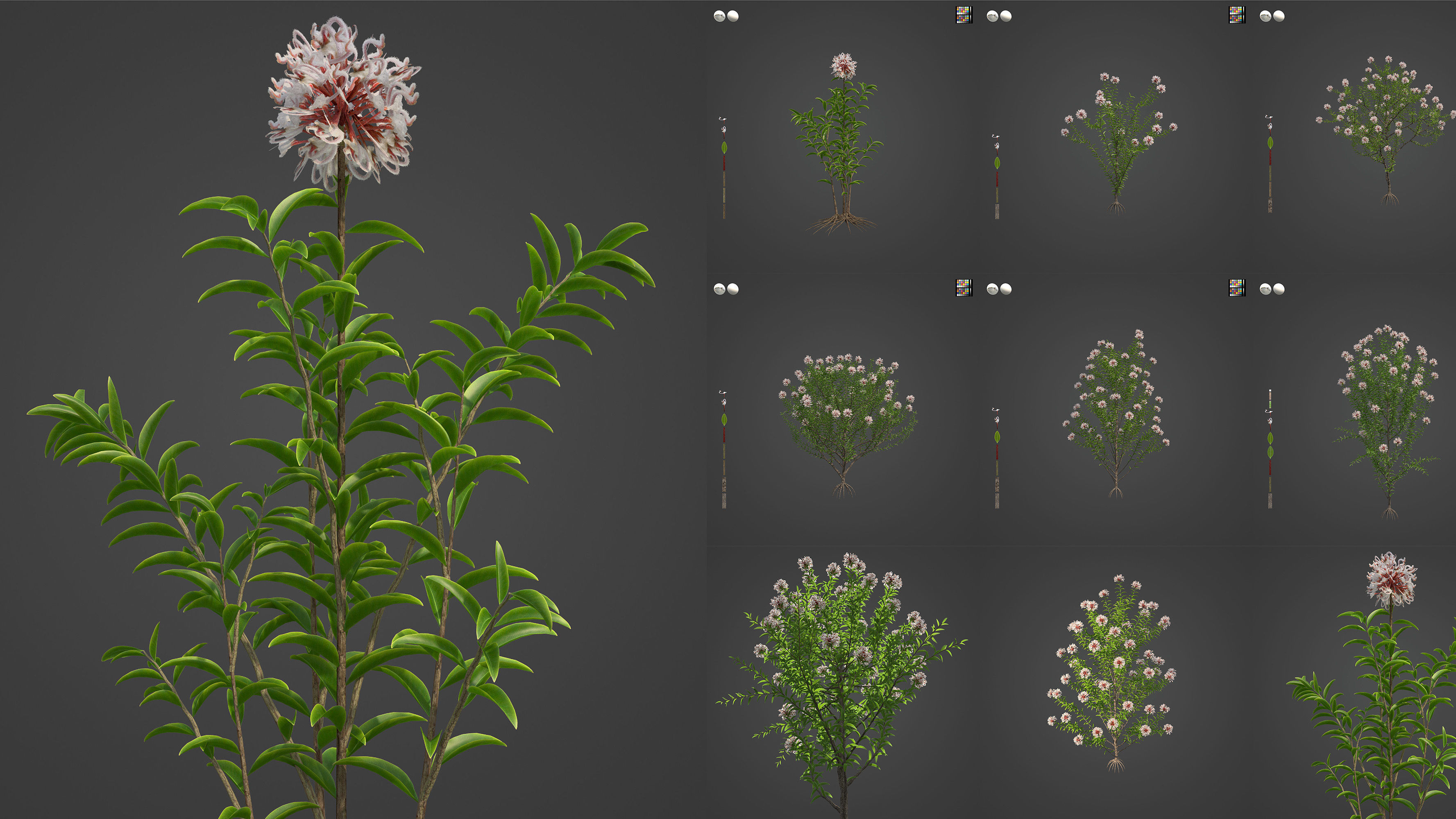 Xfrog World 3D Model Collection_8