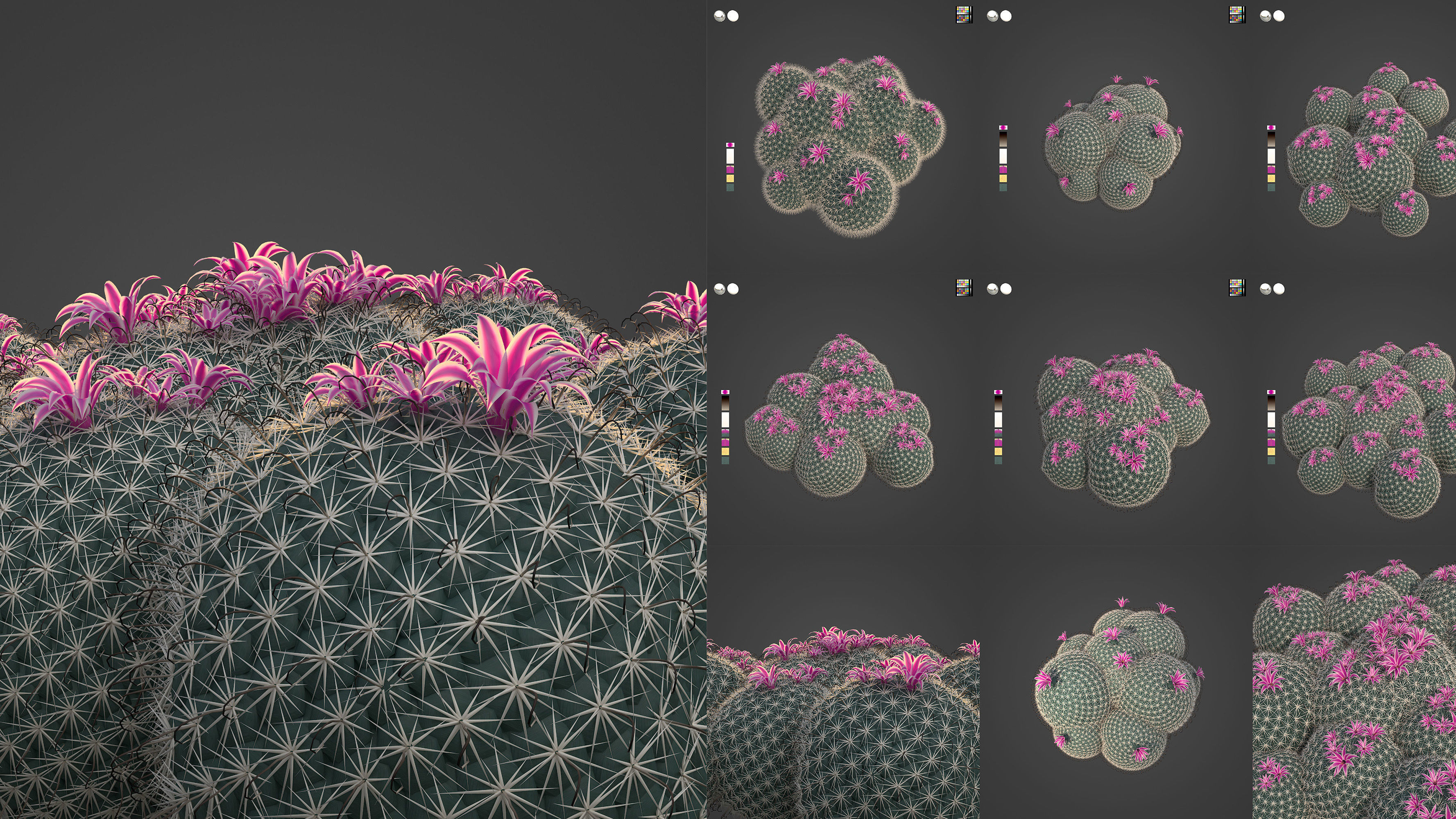 Xfrog World 3D Model Collection_3