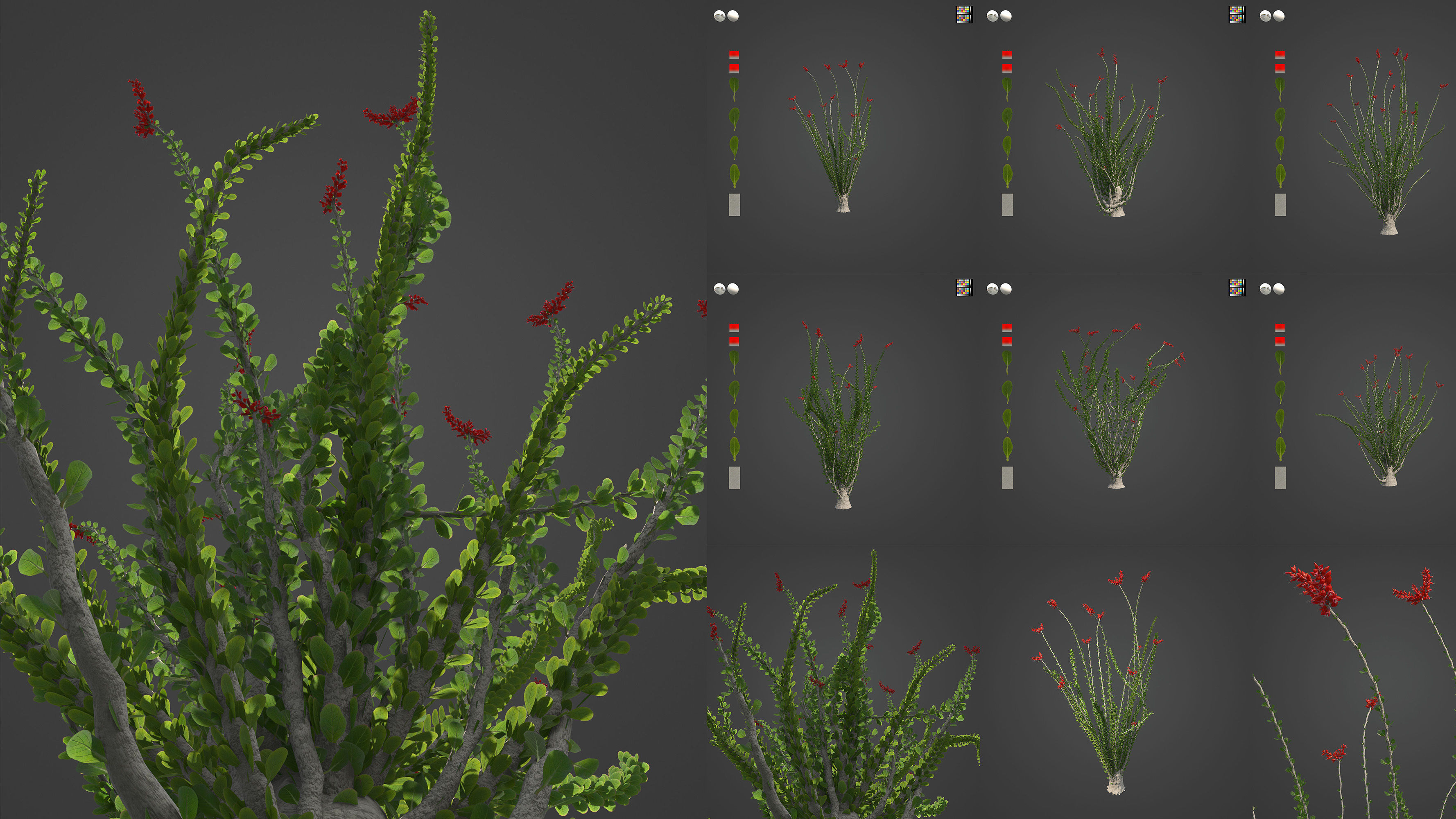 Xfrog World 3D Model Collection_7