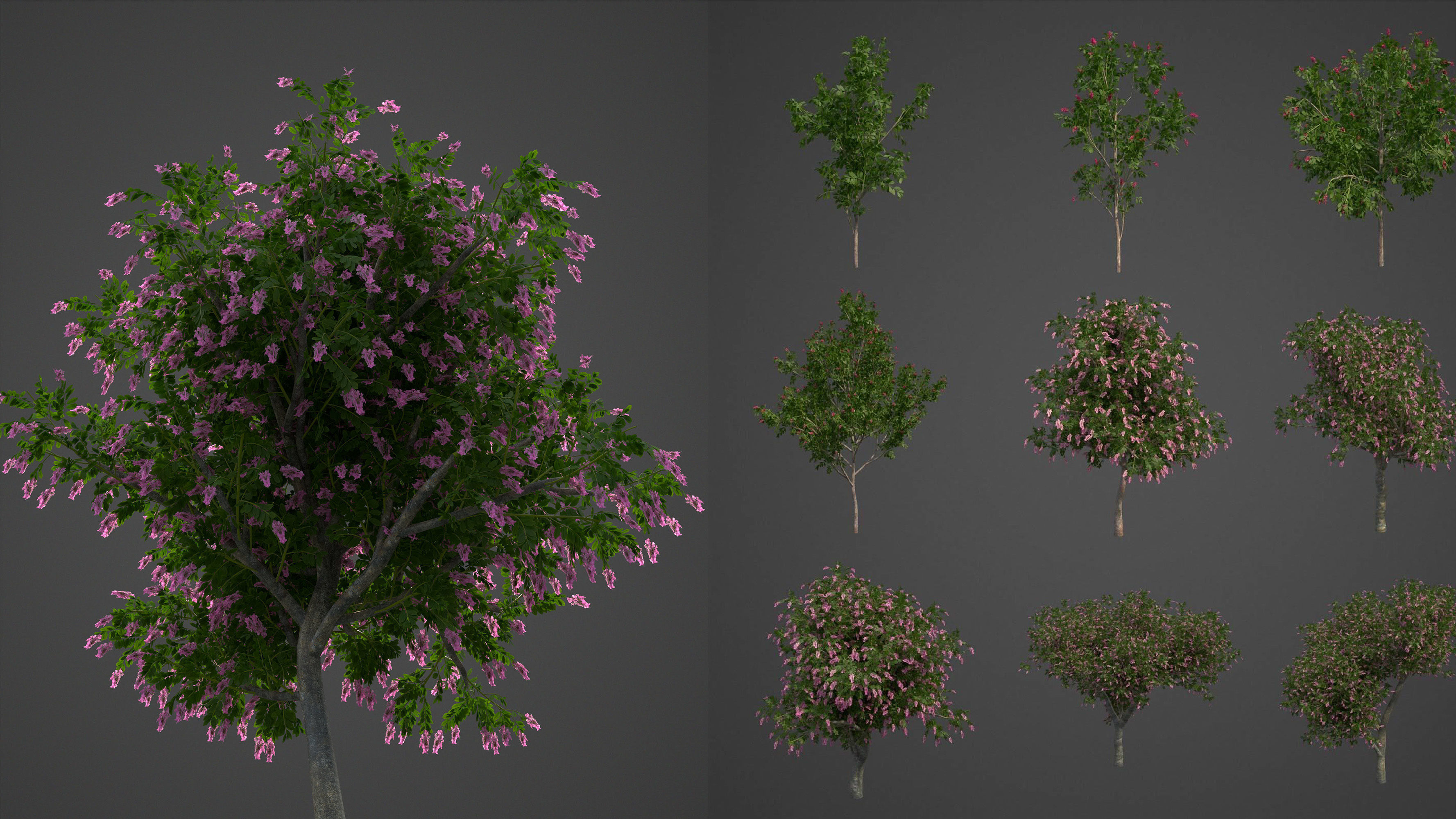 Xfrog World 3D Model Collection_9