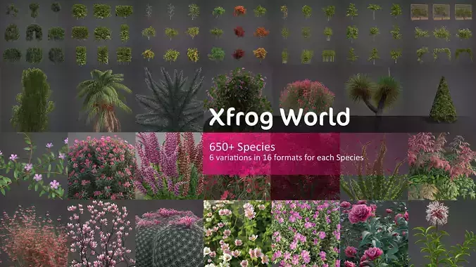 Xfrog World 3D Model Collection