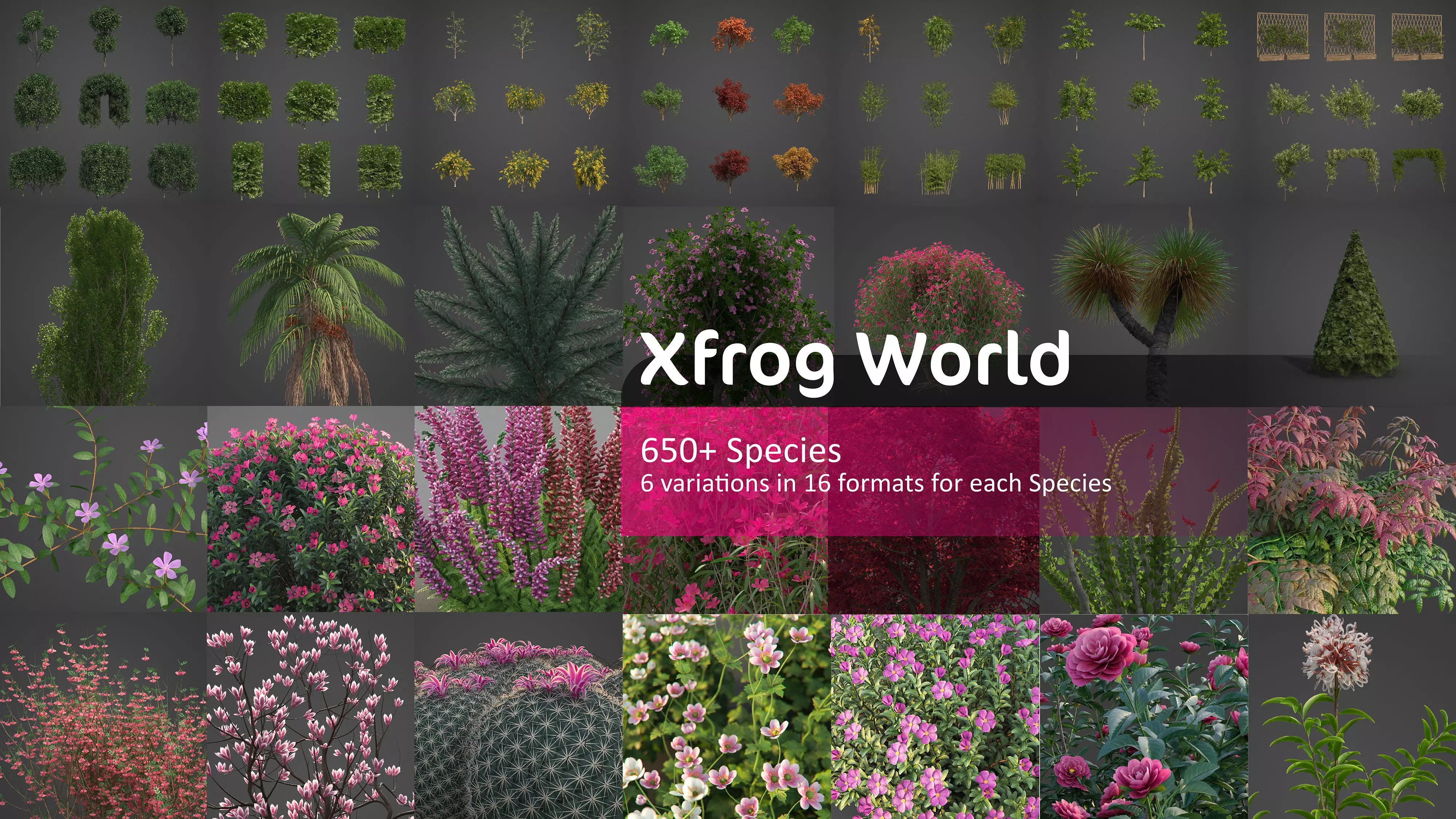 Xfrog World 3D Model Collection_0