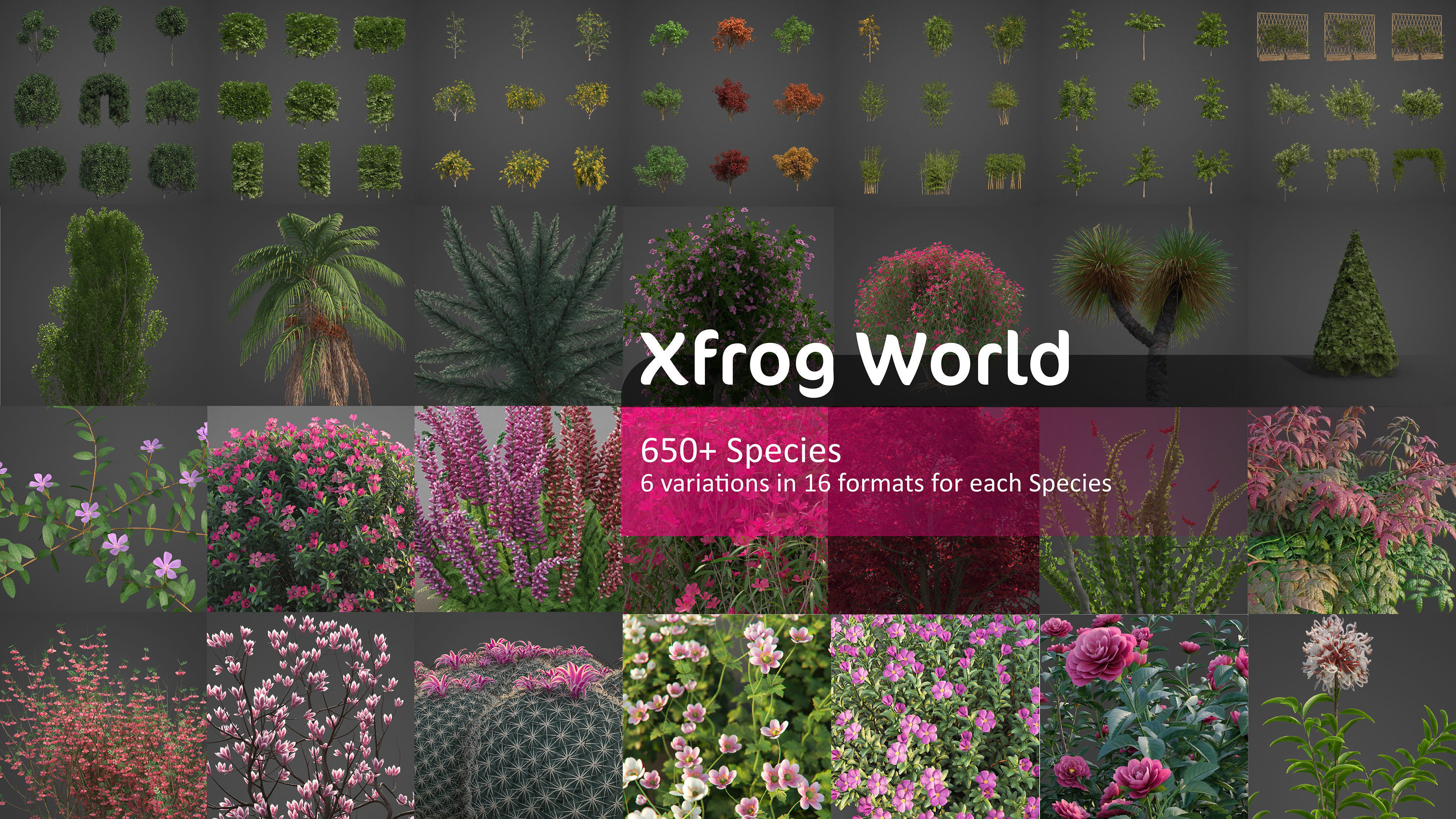 Xfrog World 3D Model Collection_0