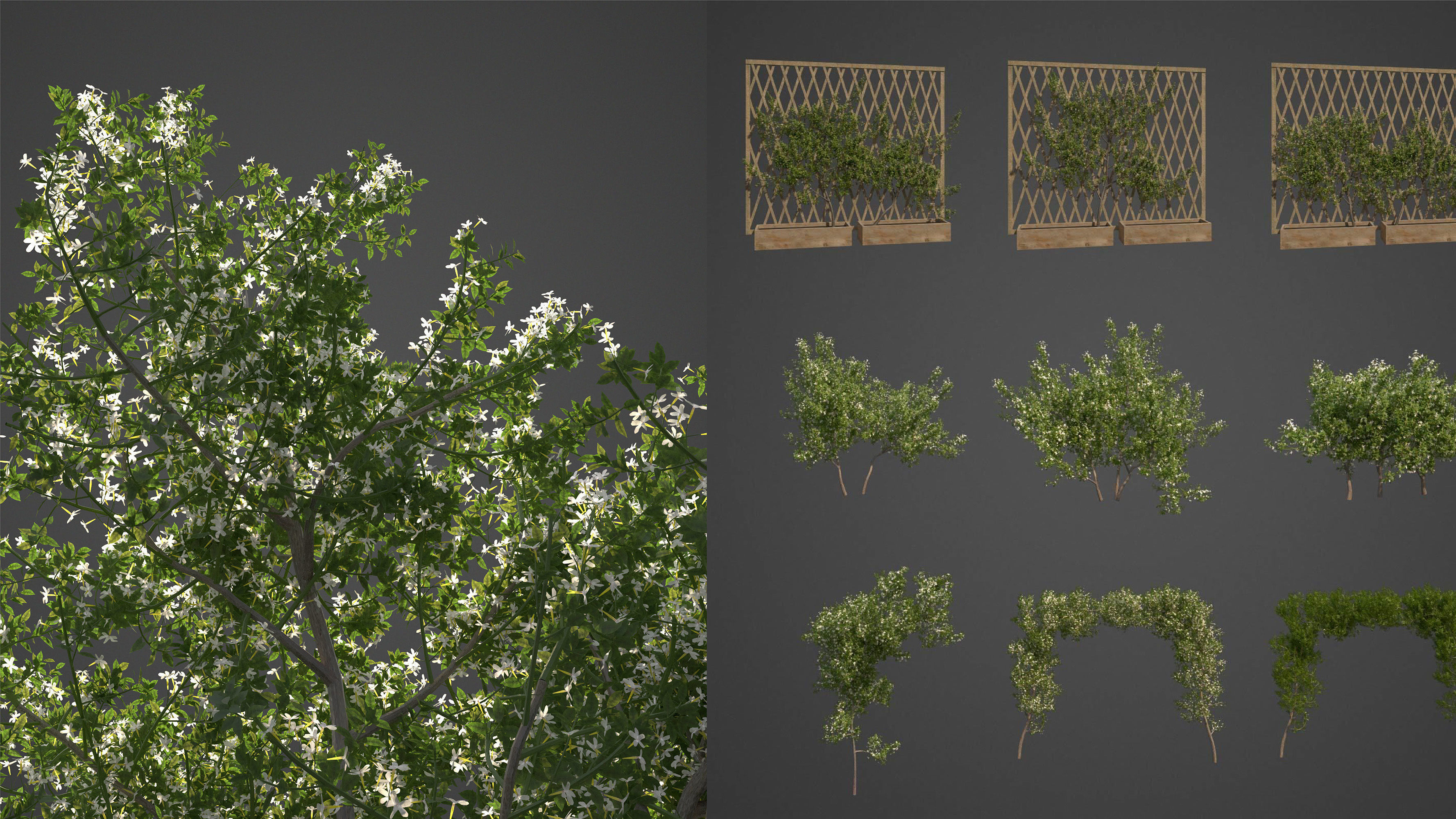 Xfrog World 3D Model Collection_12