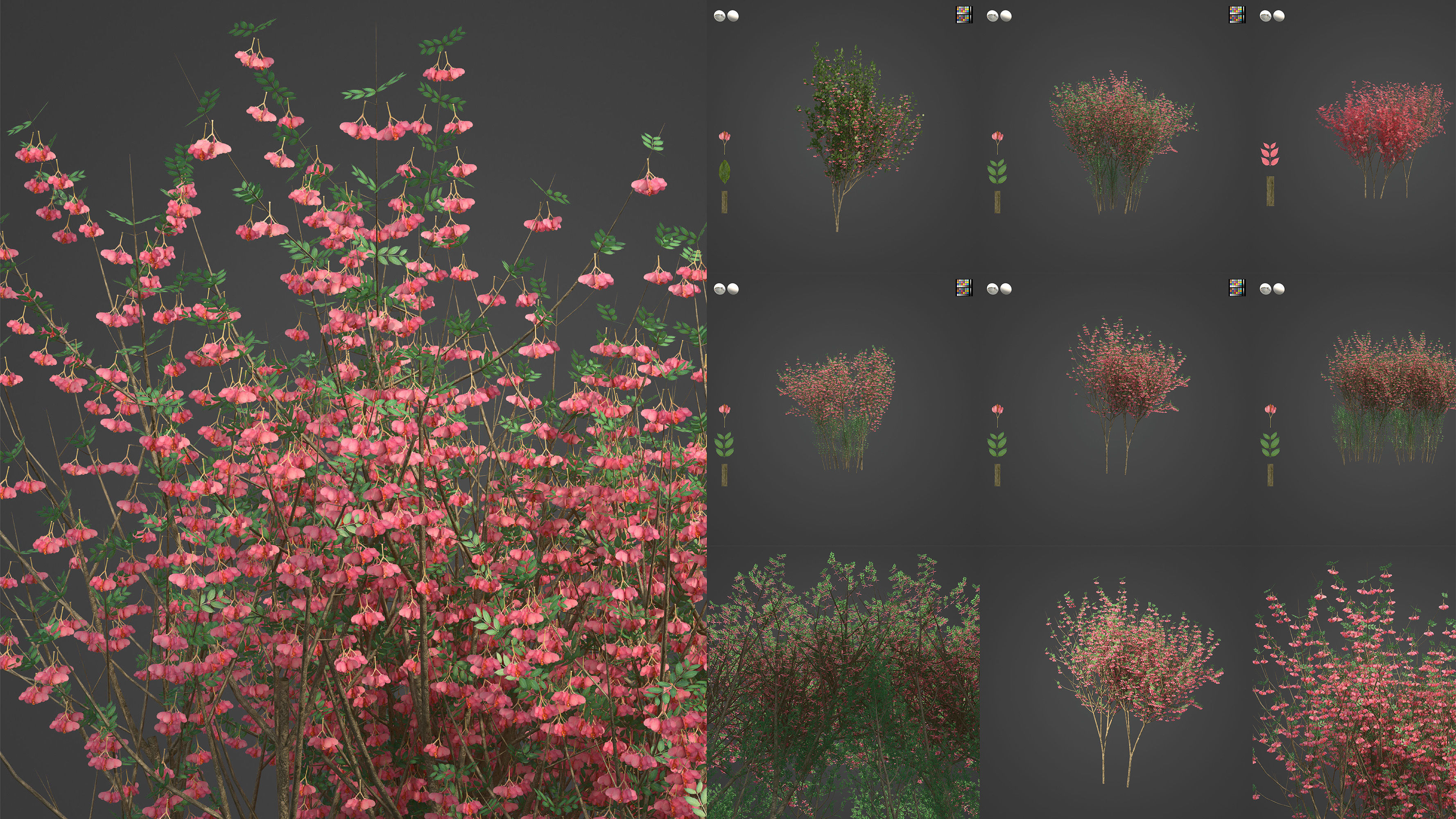 Xfrog World 3D Model Collection_5