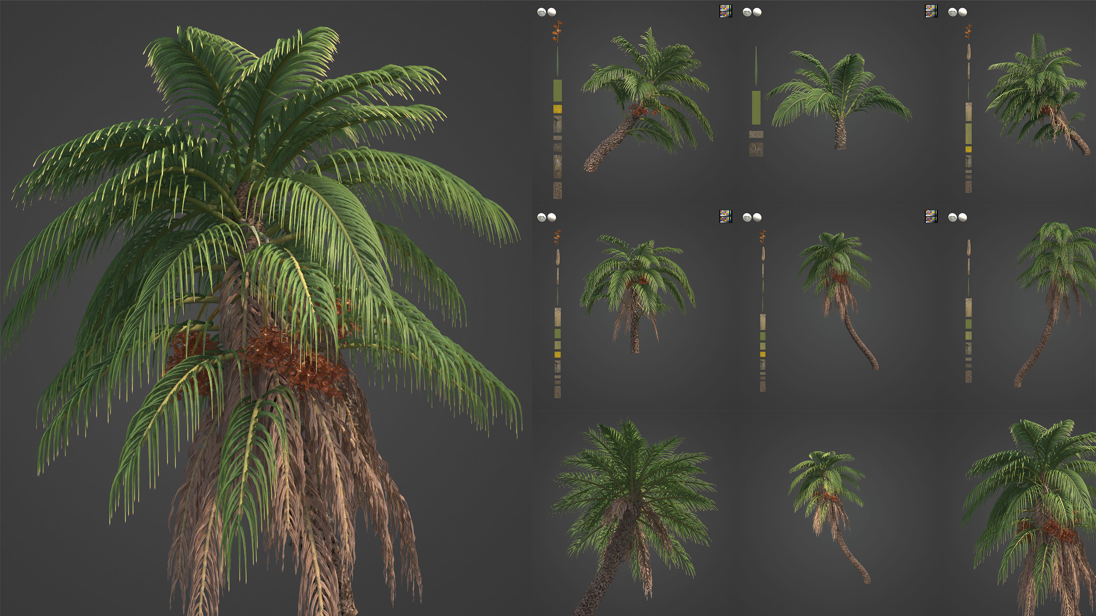 Xfrog World 3D Model Collection_11