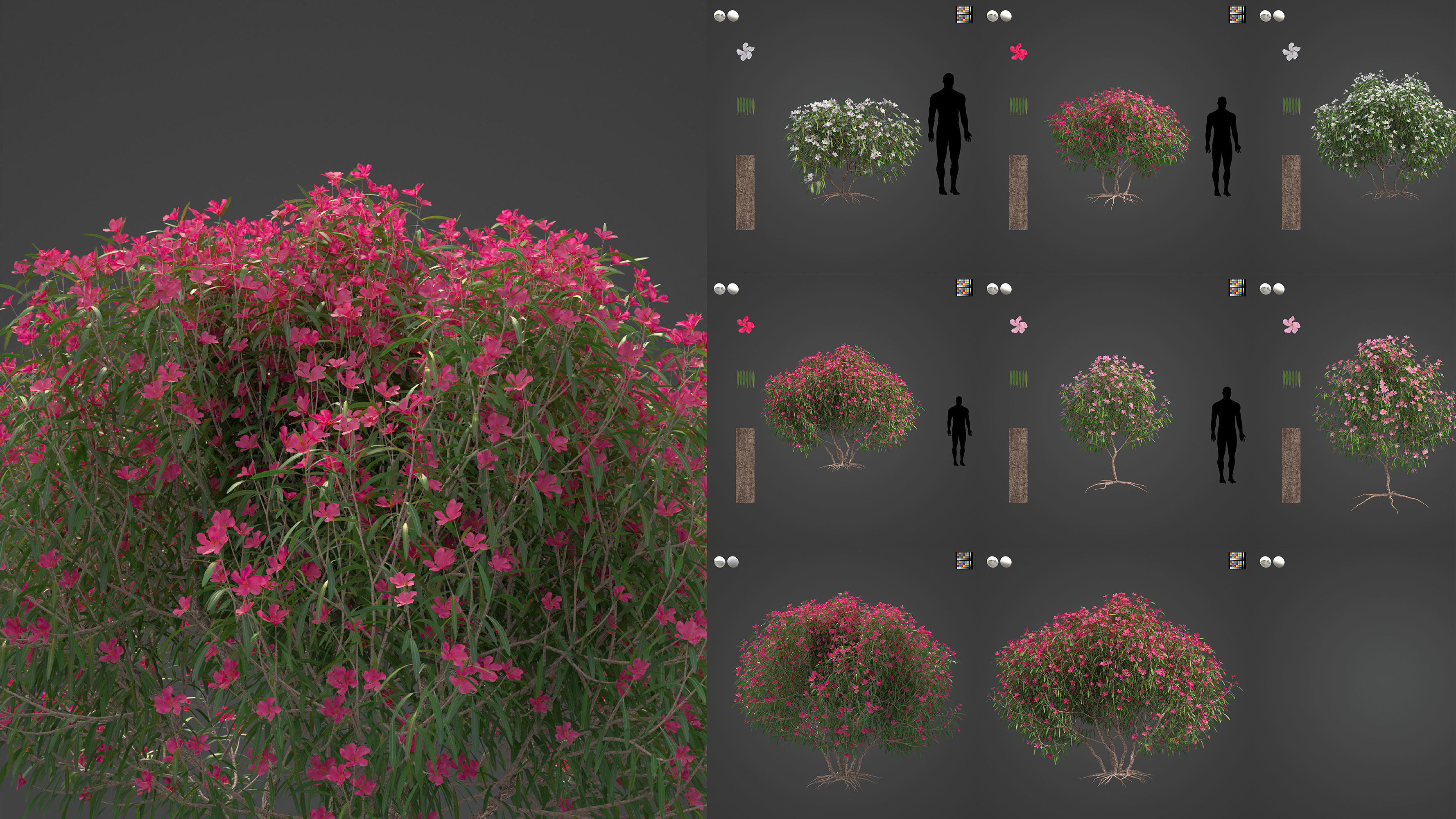 Xfrog World 3D Model Collection_4