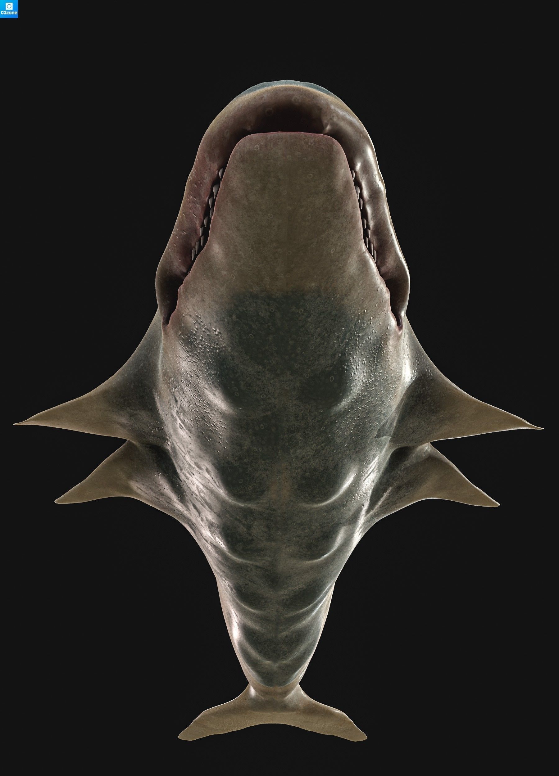Sea monster 3D model_13