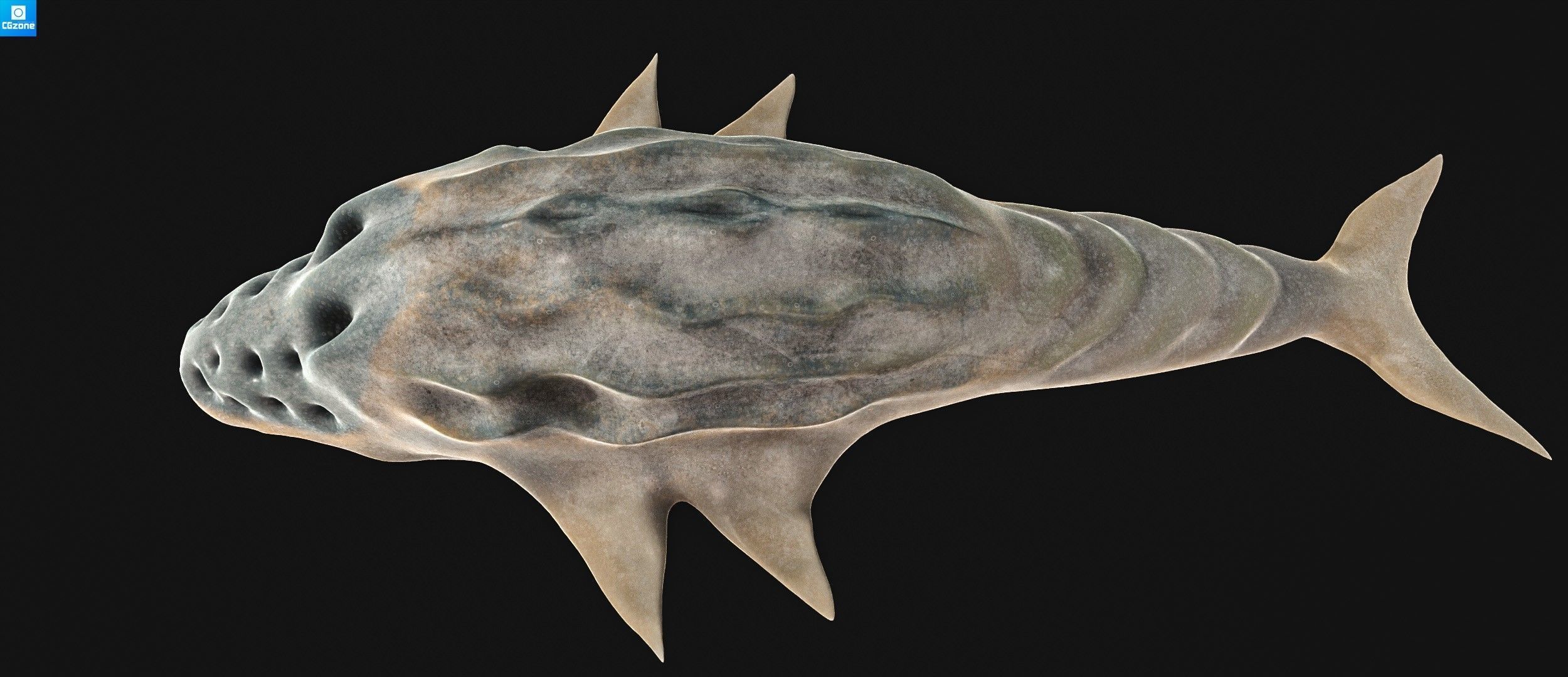 Sea monster 3D model_12