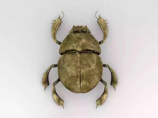Golden scarab 3D model