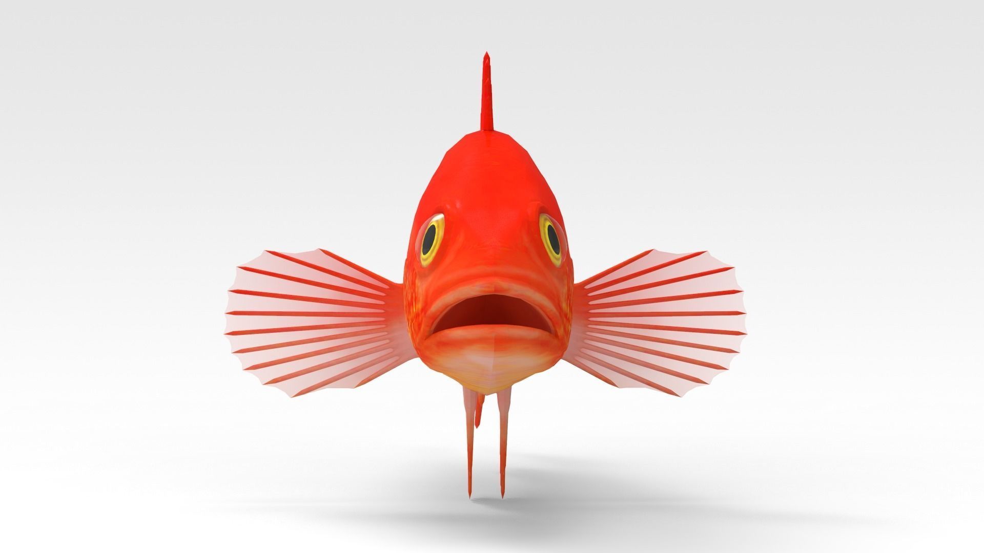 GoldFish orange fish 3D model_1