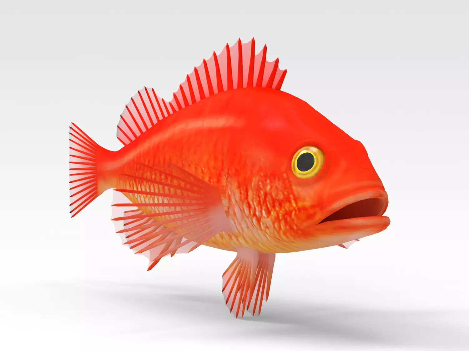 GoldFish orange fish 3D model_0