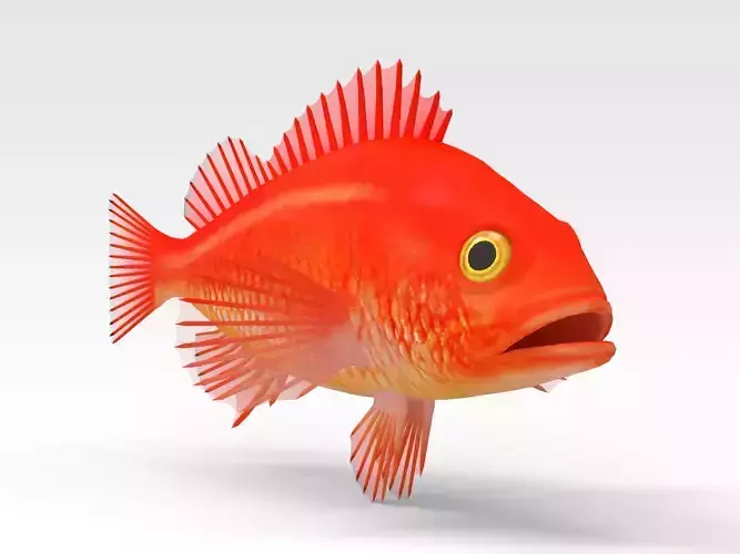 GoldFish orange fish 3D model