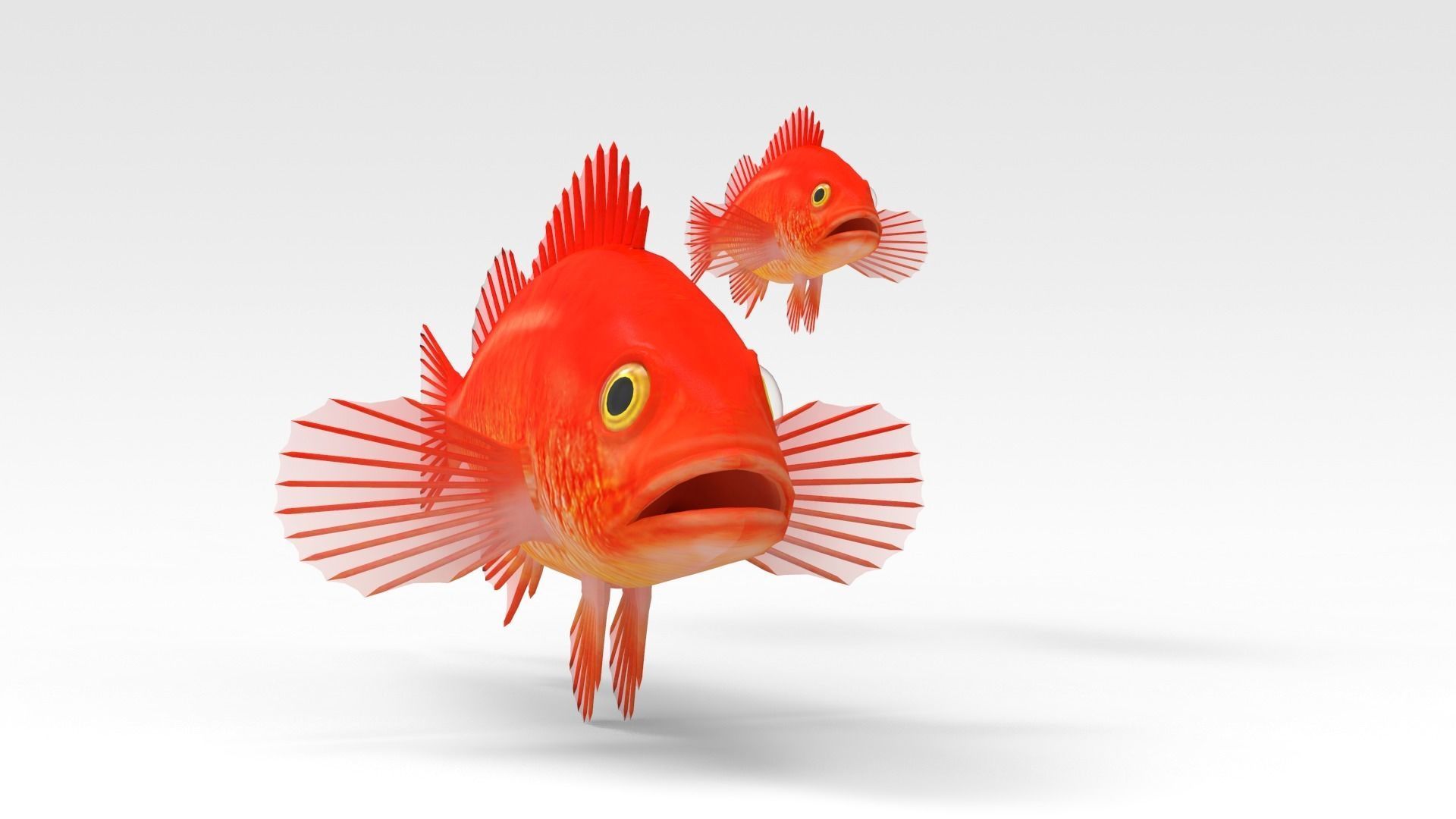 GoldFish orange fish 3D model_3