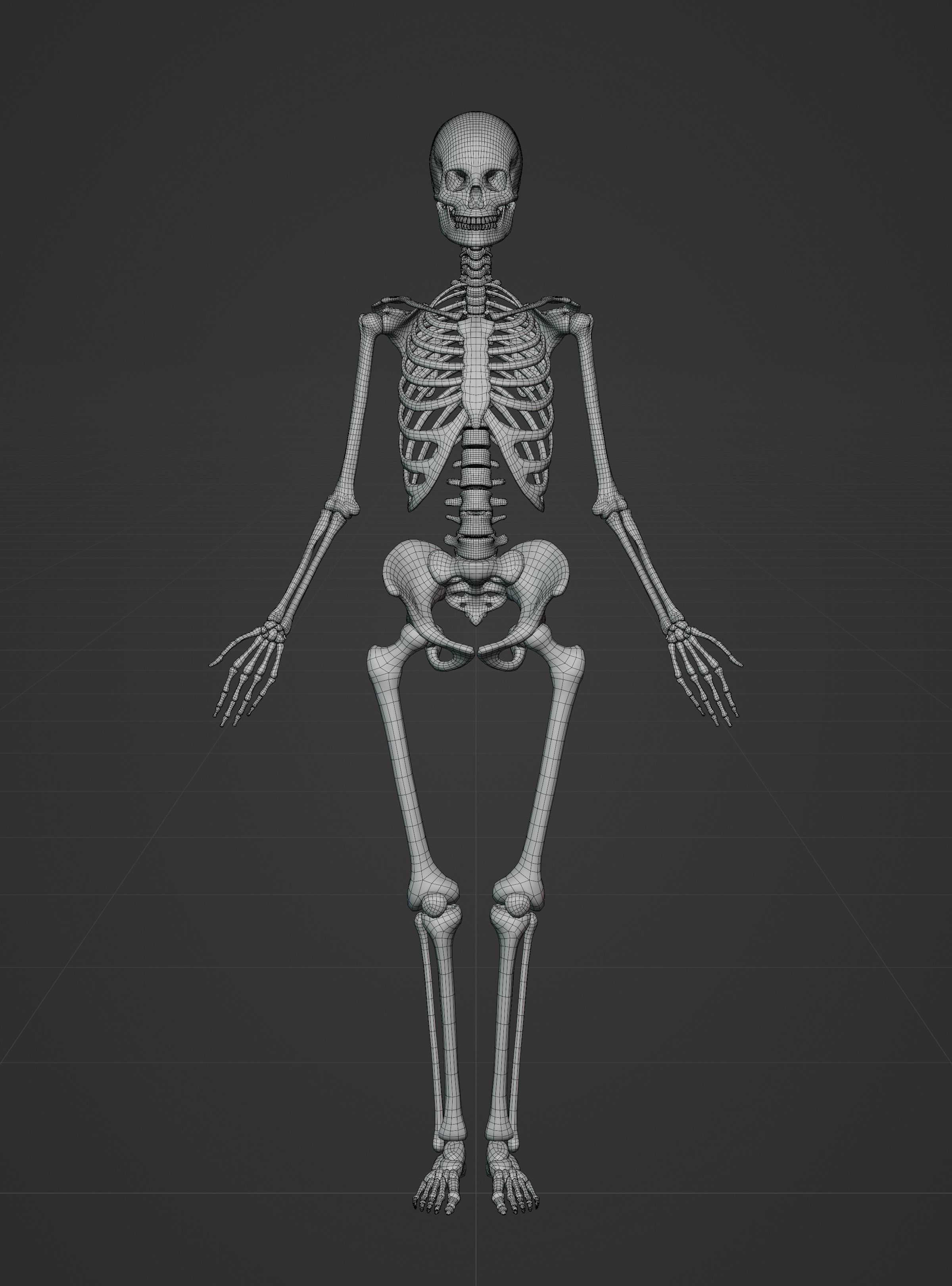 Female Ecorche - Skin Musculature Skeleton Low-poly 3D model_15
