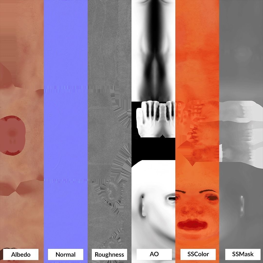 Female Ecorche - Skin Musculature Skeleton Low-poly 3D model_16