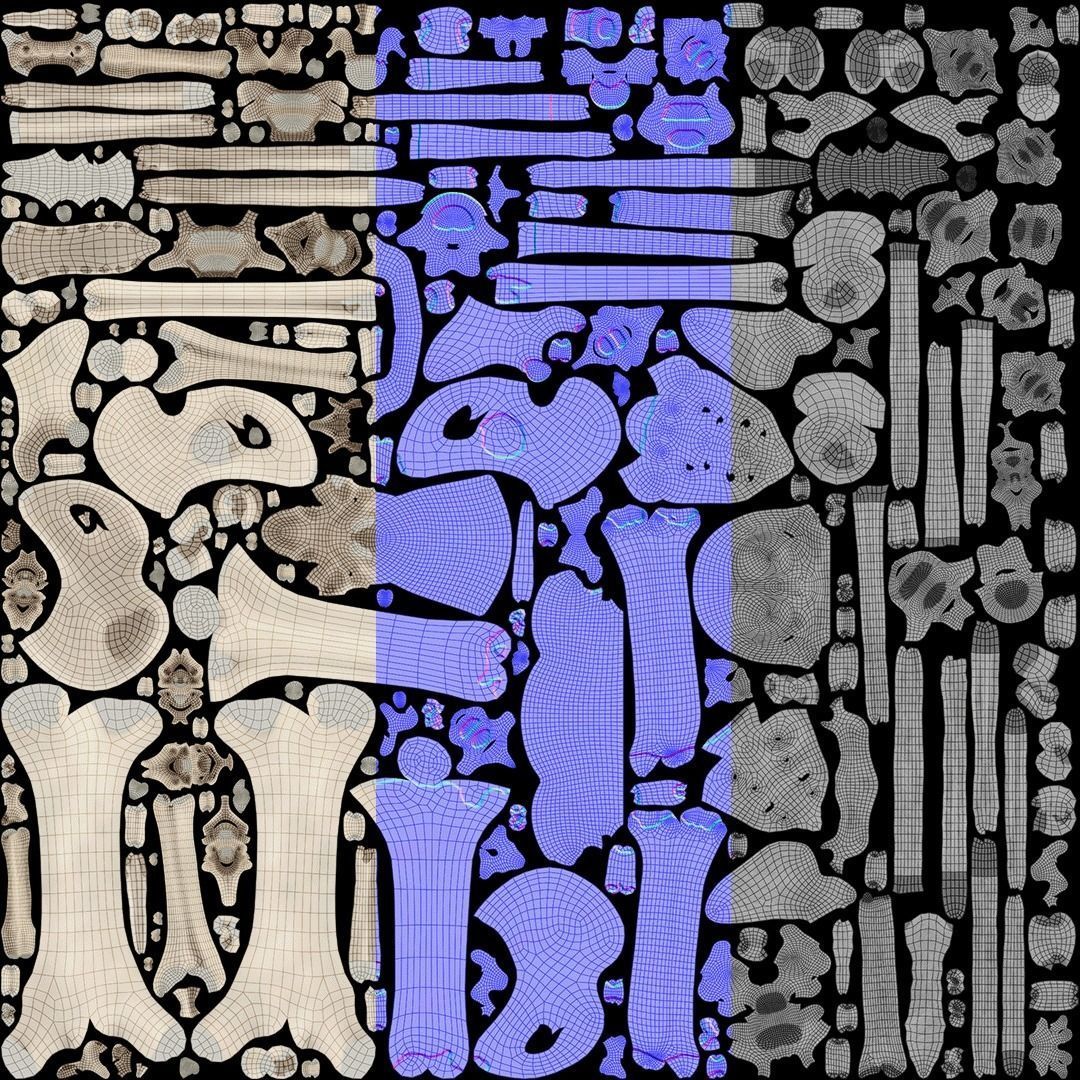 Female Ecorche - Skin Musculature Skeleton Low-poly 3D model_20