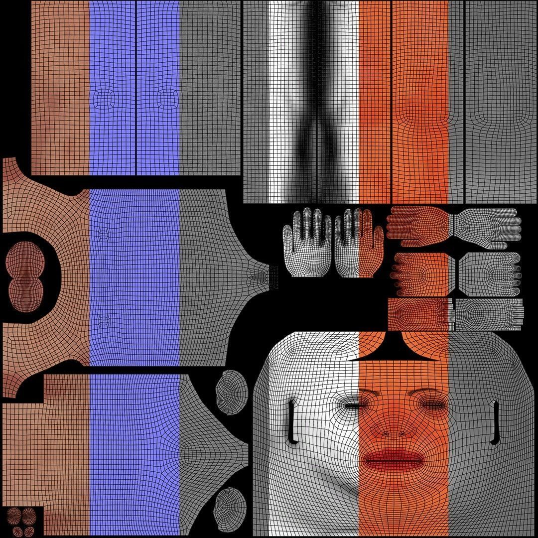 Female Ecorche - Skin Musculature Skeleton Low-poly 3D model_17