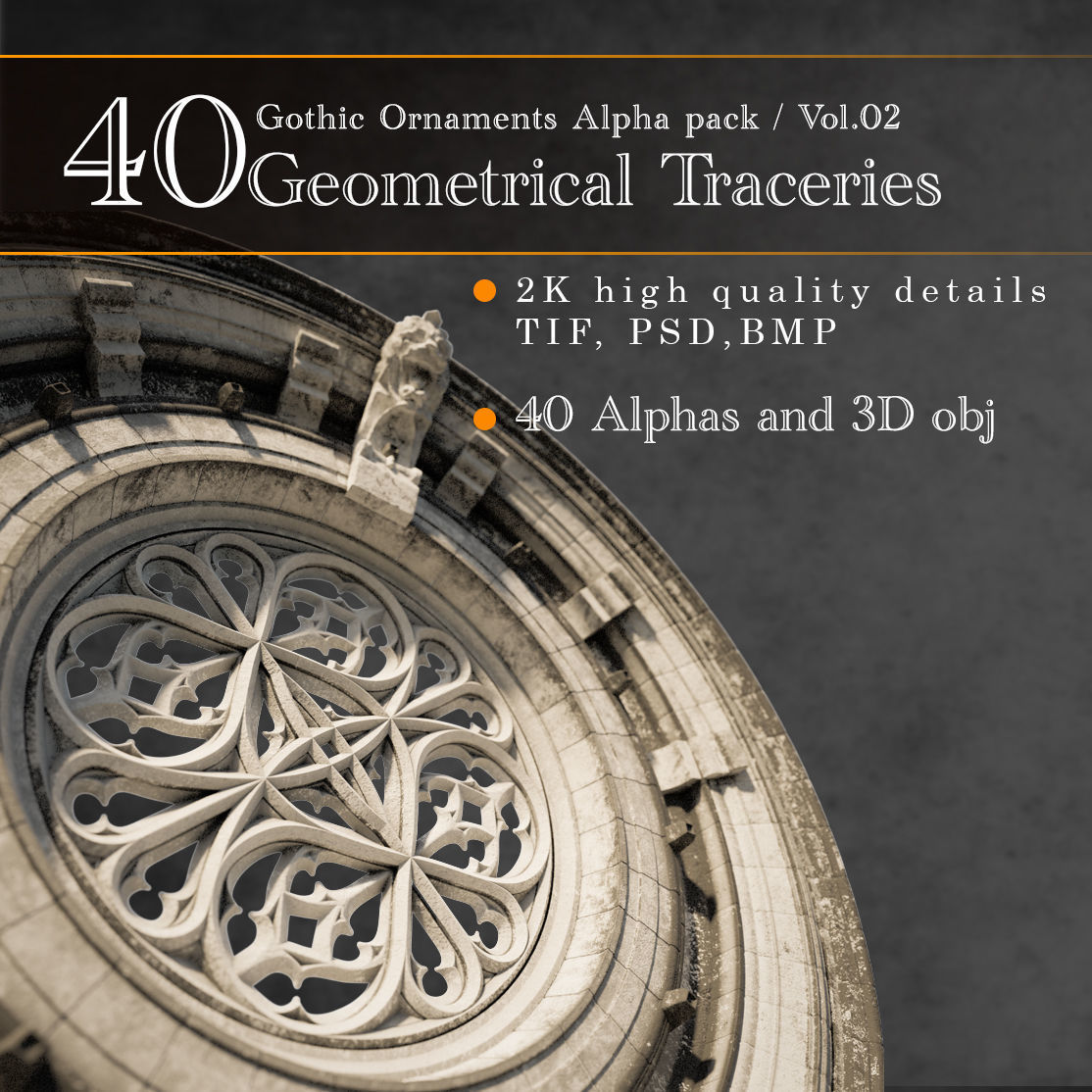 Gothic Ornaments VOL02 40 Geometrical Tracery 3D model_3