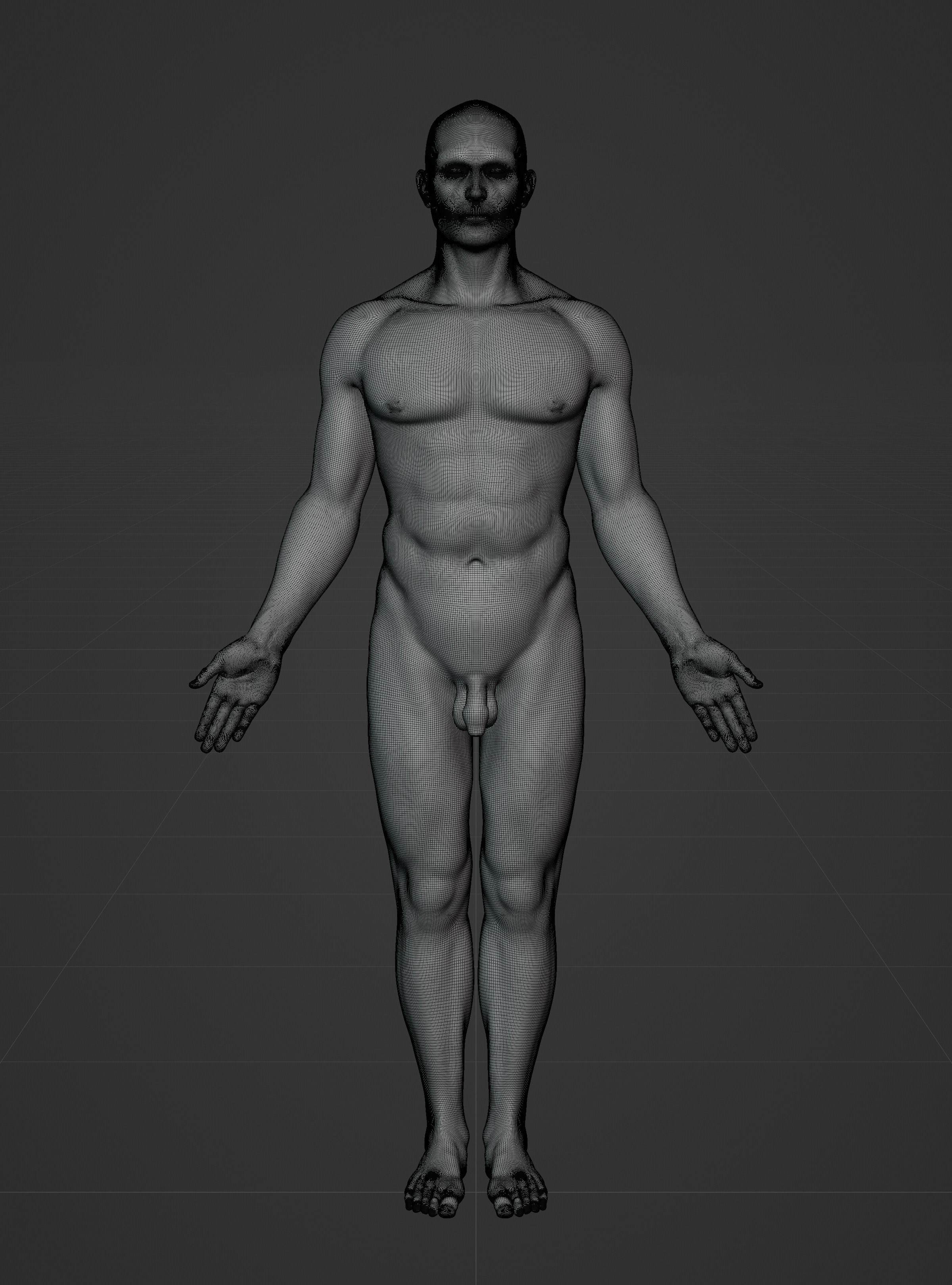 Male Ecorche - Skin Musculature Skeleton Low-poly 3D model_18