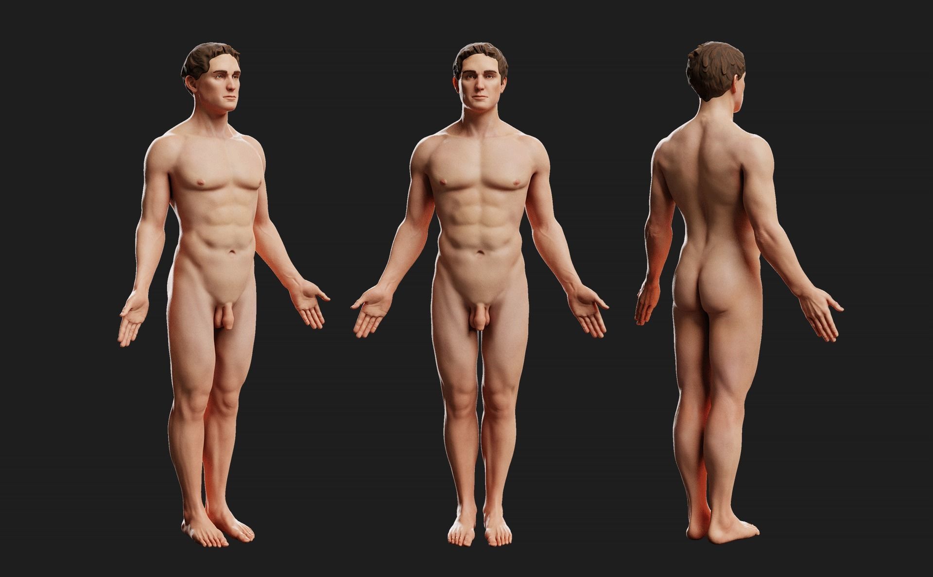 Male Ecorche - Skin Musculature Skeleton Low-poly 3D model_2