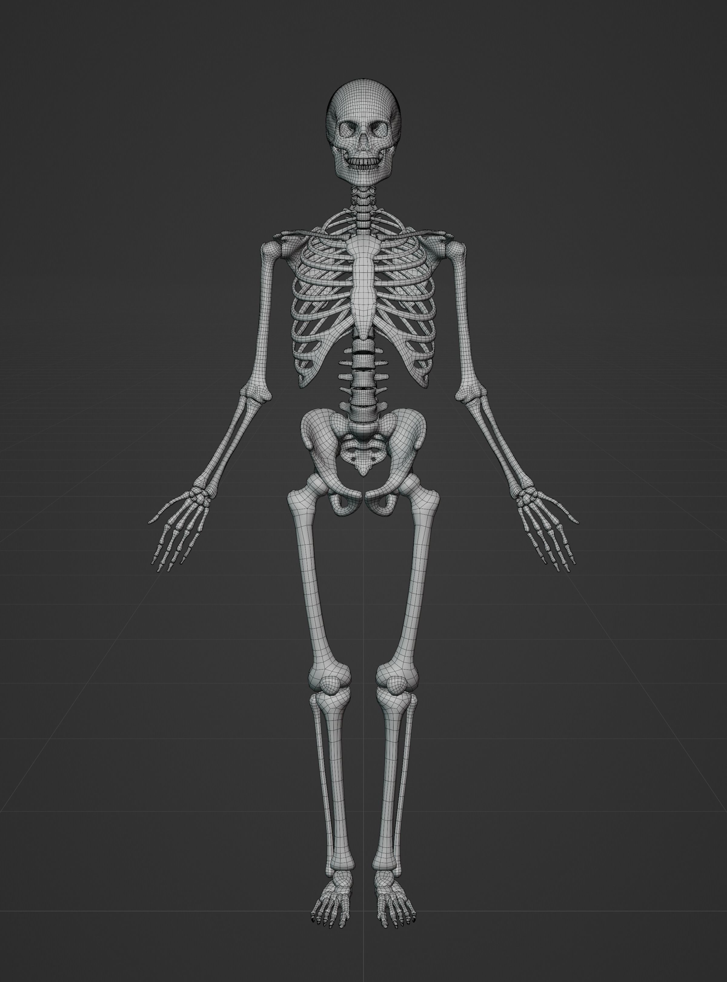 Male Ecorche - Skin Musculature Skeleton Low-poly 3D model_17