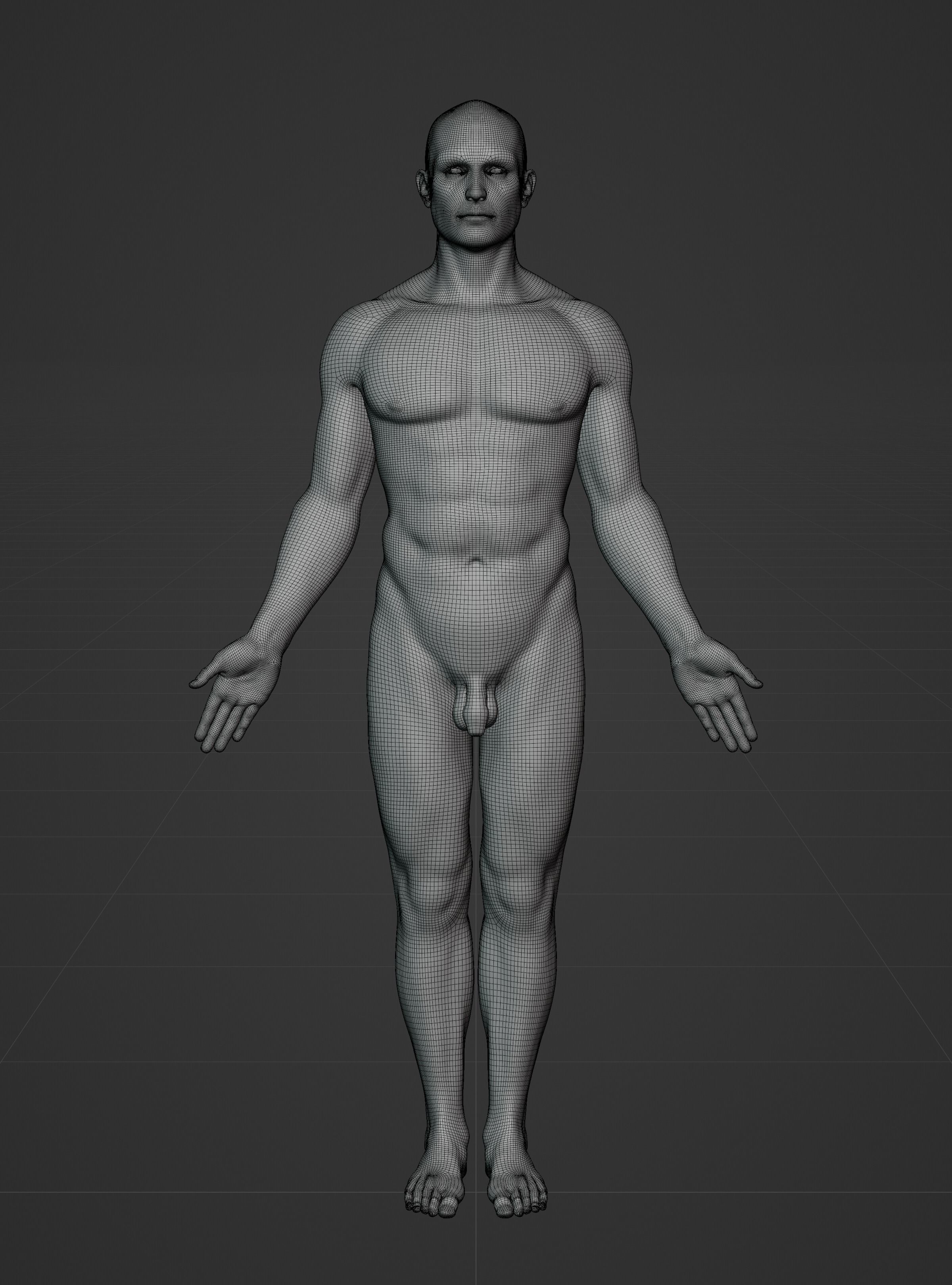 Male Ecorche - Skin Musculature Skeleton Low-poly 3D model_19