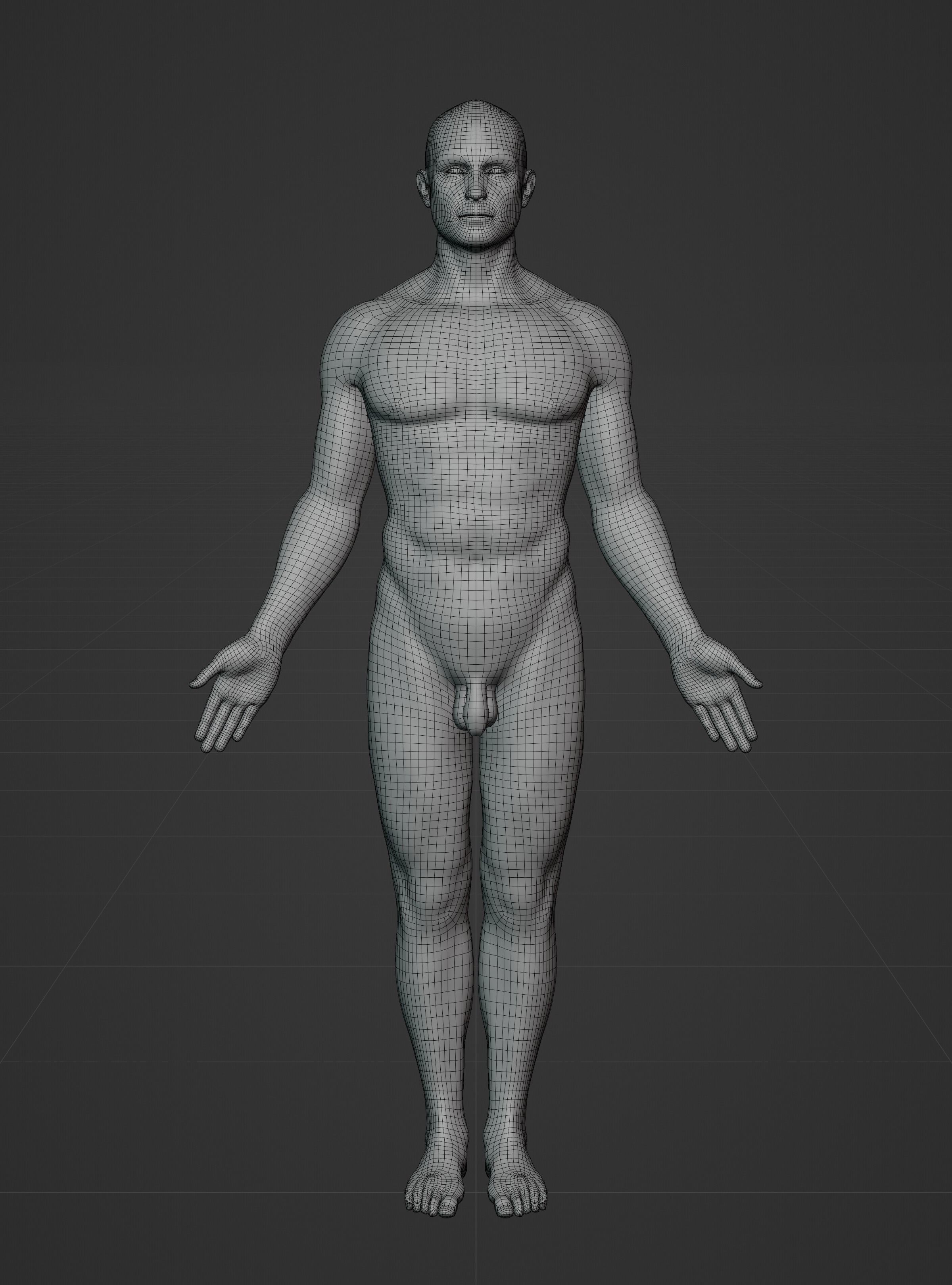 Male Ecorche - Skin Musculature Skeleton Low-poly 3D model_21