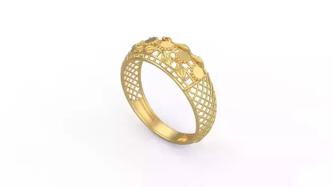 Ultra Vision Ring 205 3D print model
