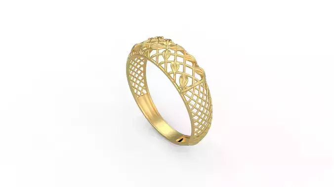 Ultra Vision Ring 208 3D print model