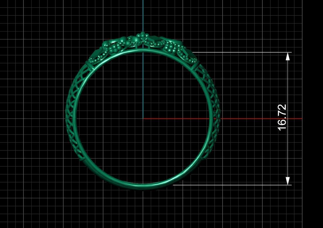 Ultra Vision Ring 224 3D print model_4