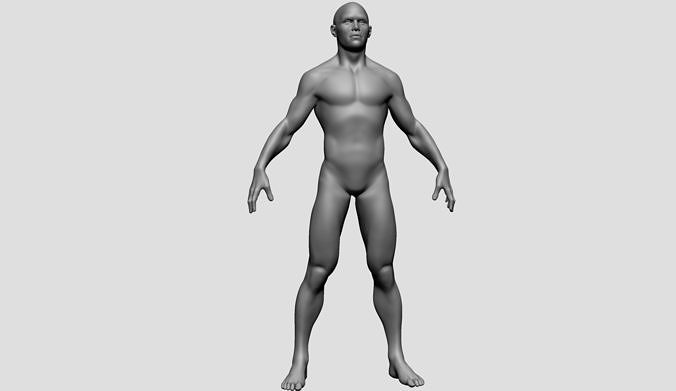Male Basemesh v3 3D model