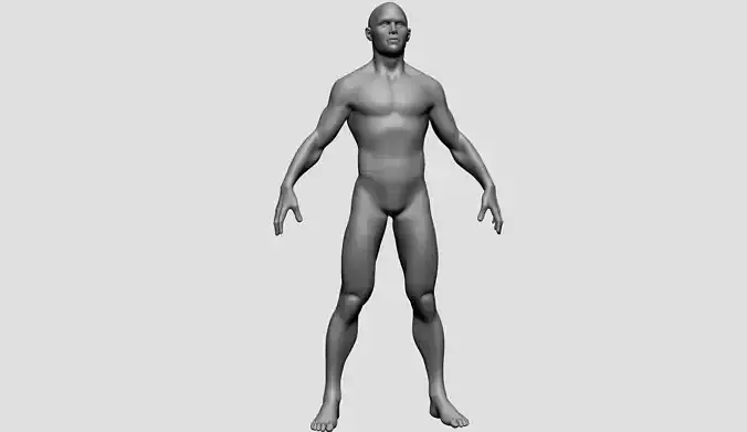 Male Basemesh v3 3D model