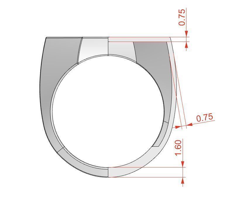 Signet rings set OCTAGON top 3D print model_9