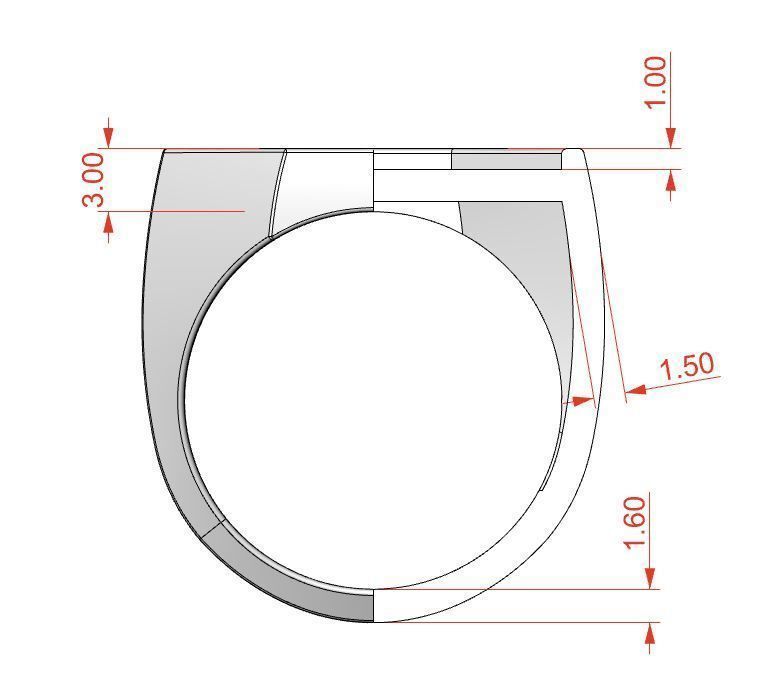 Signet rings set OCTAGON top 3D print model_12