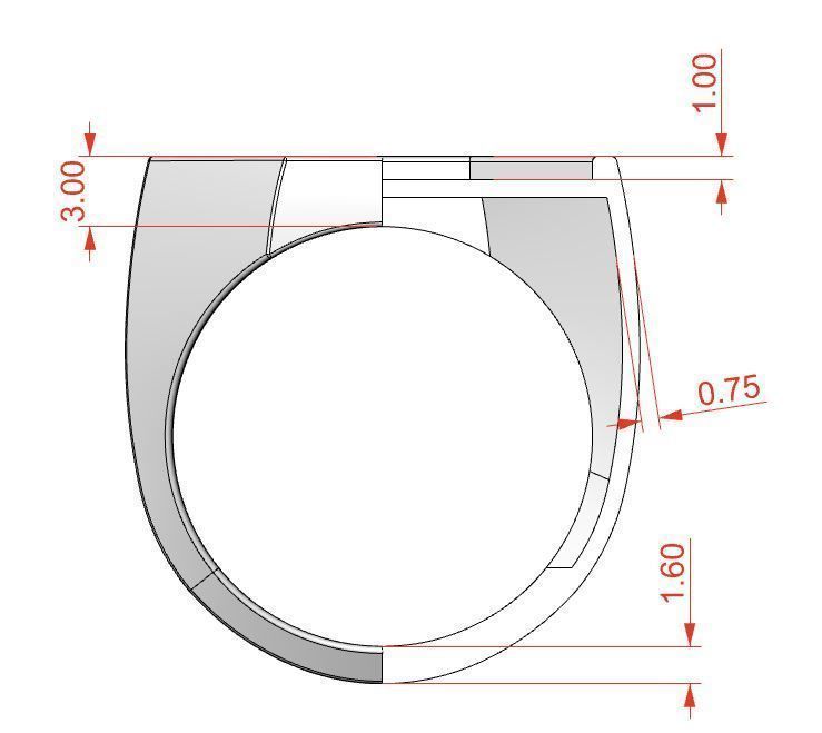 Signet rings set OCTAGON top 3D print model_11