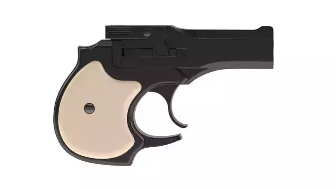 High Standard Derringer