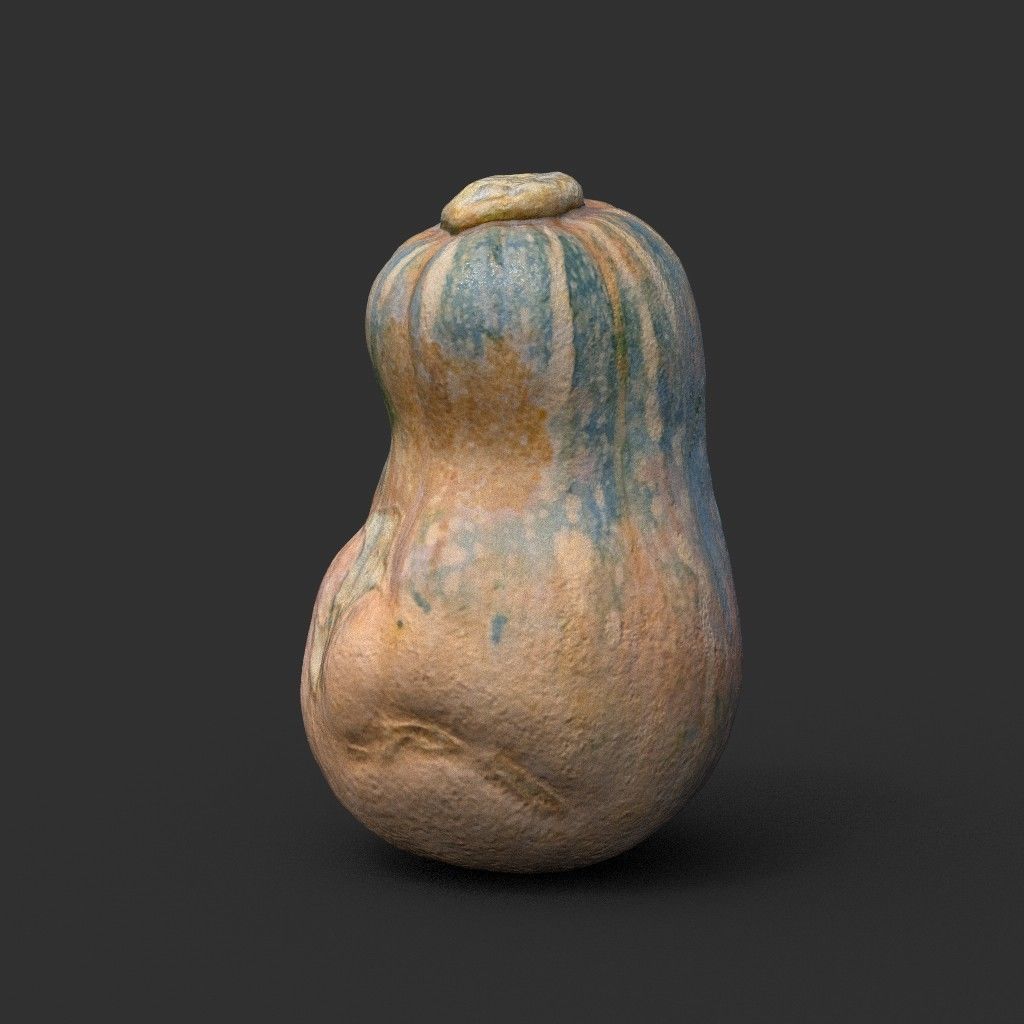 Low poly High poly Gourd 220327 - Photogrammetry Low-poly 3D model_4