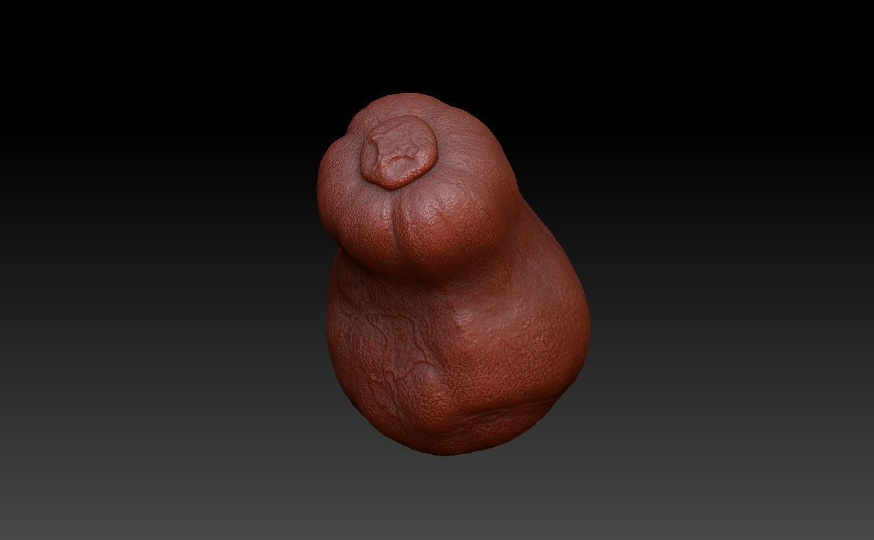 Low poly High poly Gourd 220327 - Photogrammetry Low-poly 3D model_12